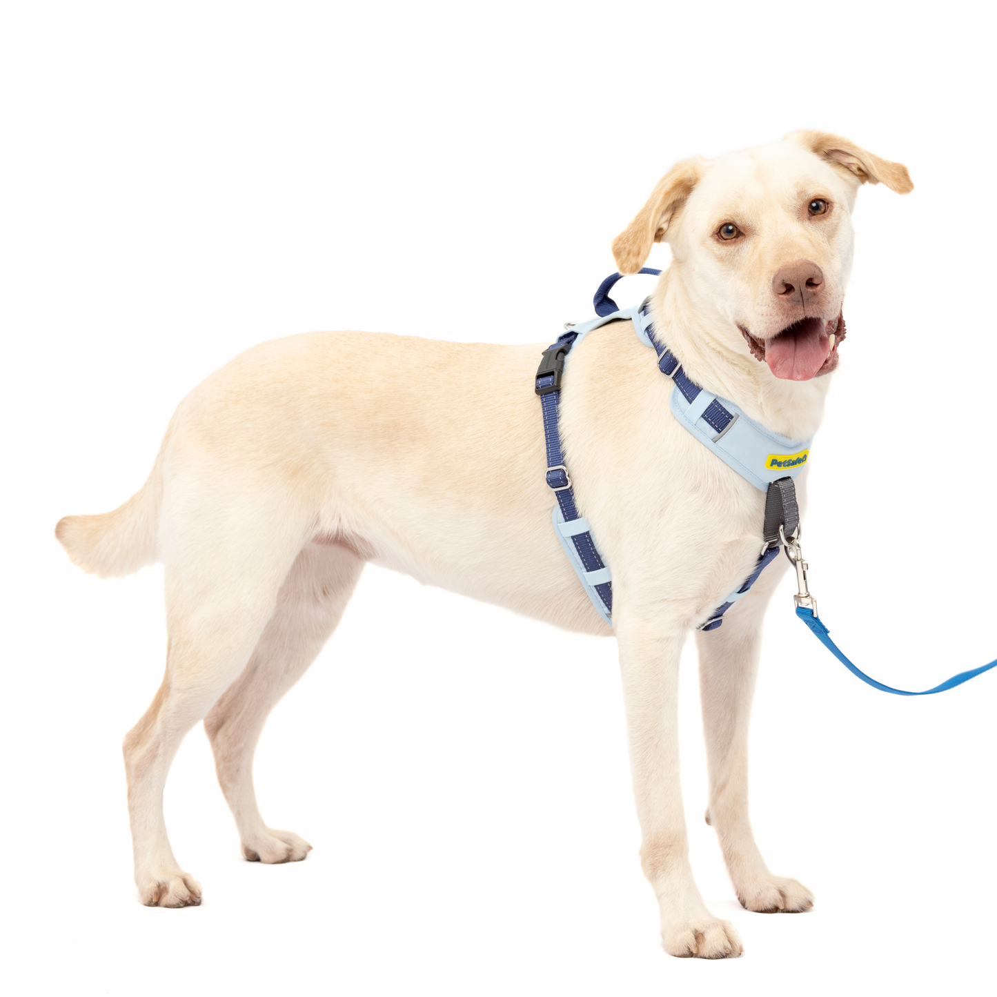 Easy Walk® Comfort No-Pull Dog Harness