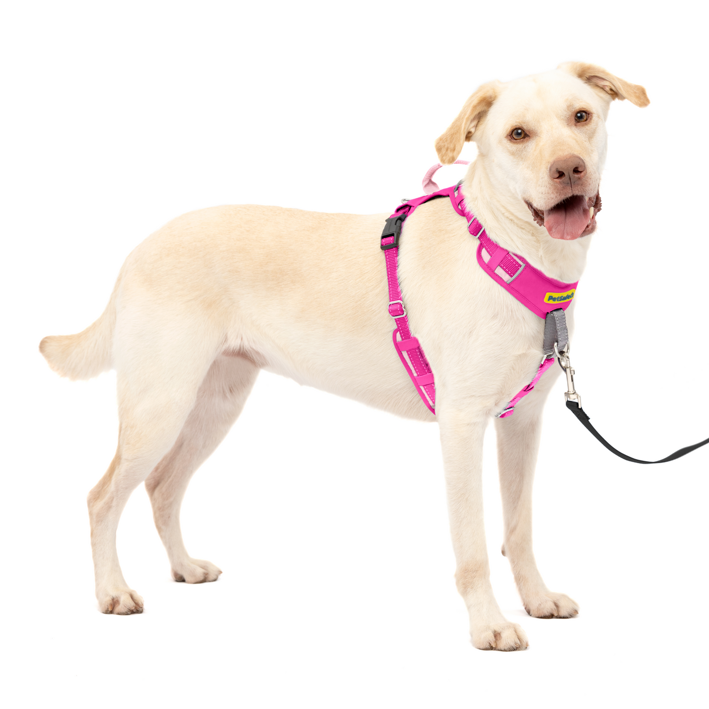 Easy Walk® Comfort No-Pull Dog Harness