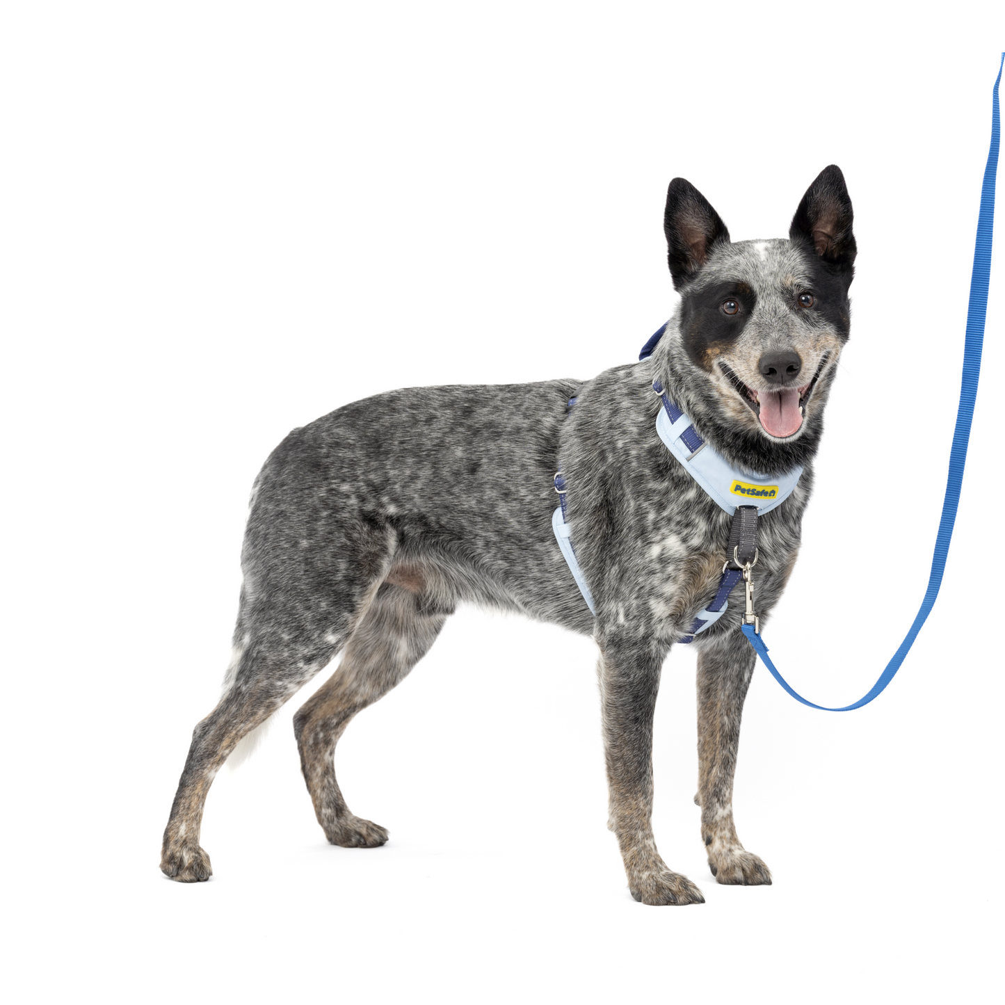Easy Walk® Comfort No-Pull Dog Harness