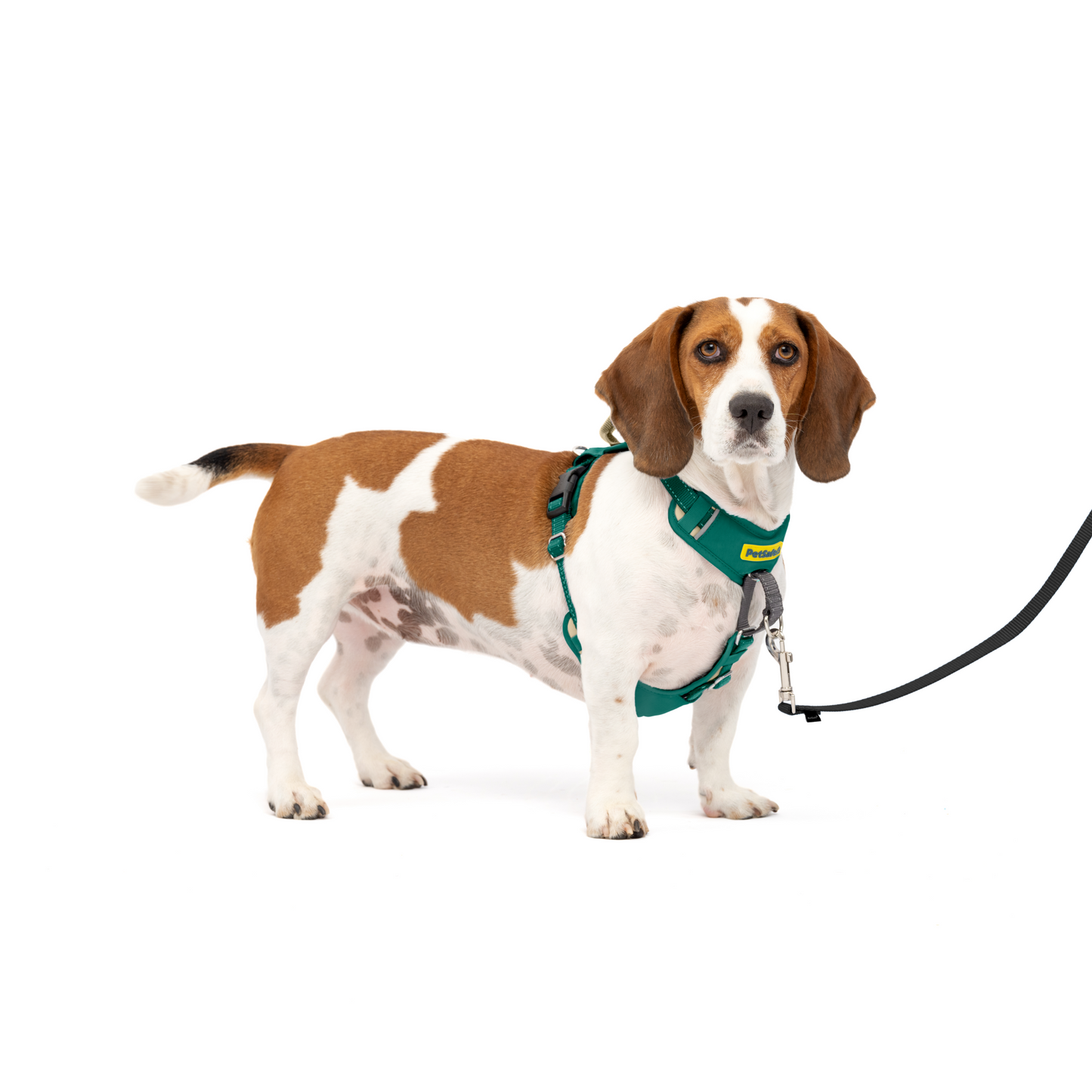 Easy Walk® Comfort No-Pull Dog Harness