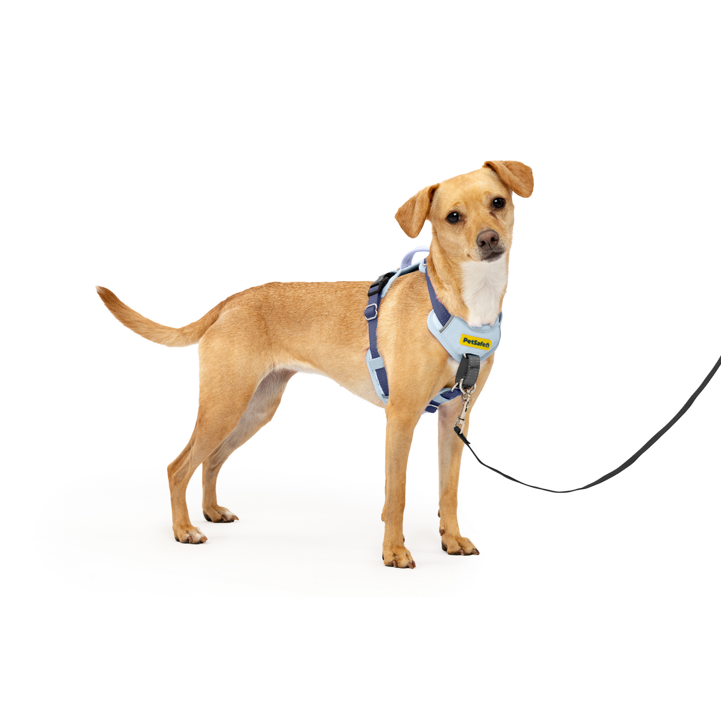 Easy Walk® Comfort No-Pull Dog Harness
