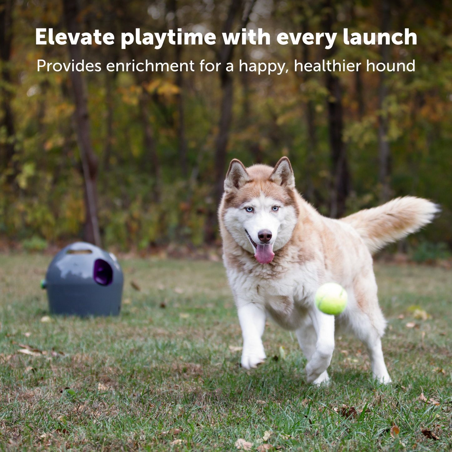 Automatic Ball Launcher