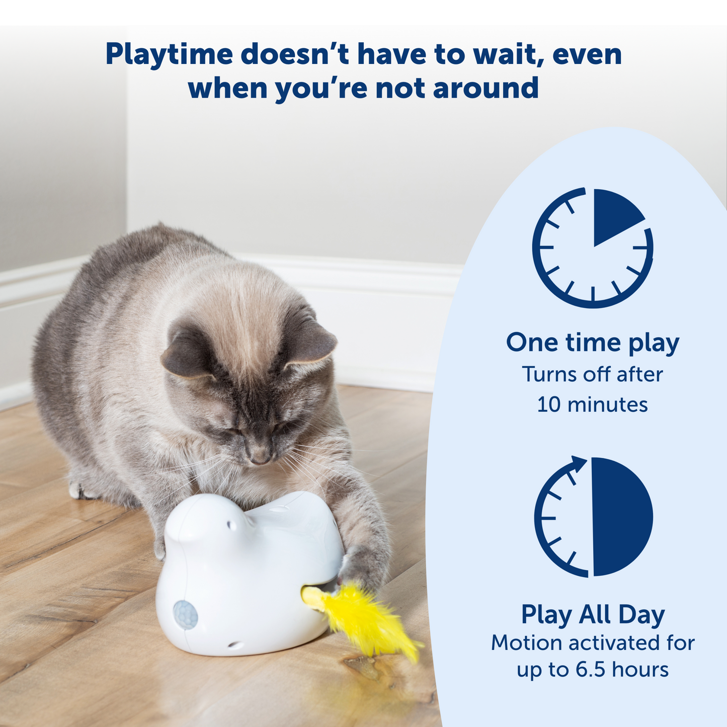 Peek-a-Bird™ Electronic Cat Toy