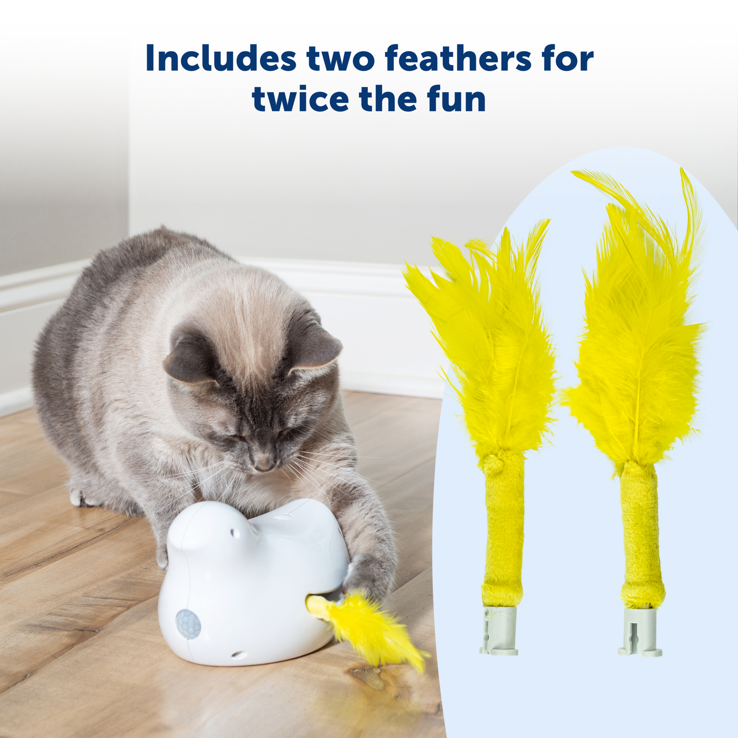 Peek-A-Bird™ Cat Toy Replacement Feathers