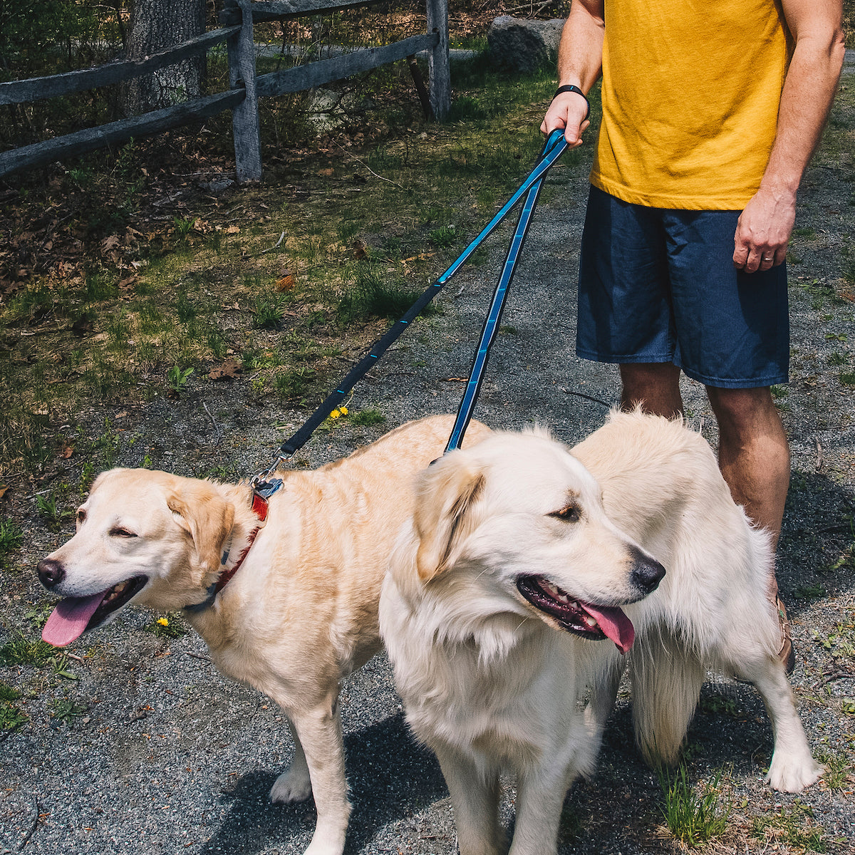 Quantum 6-in-1 Dog Leash