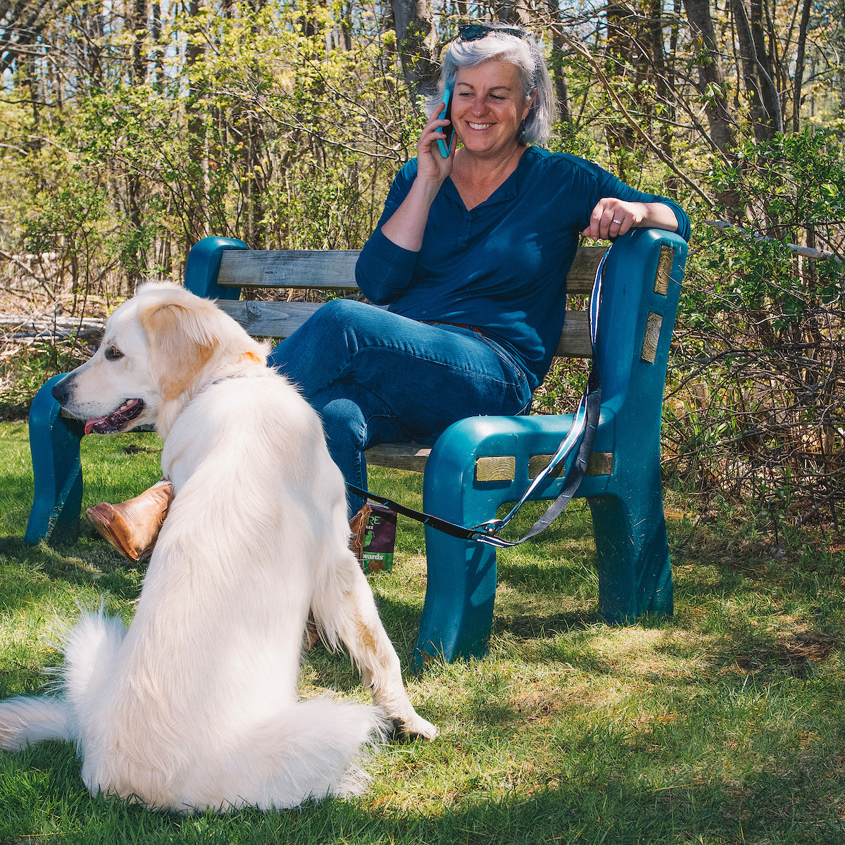 Quantum 6-in-1 Dog Leash