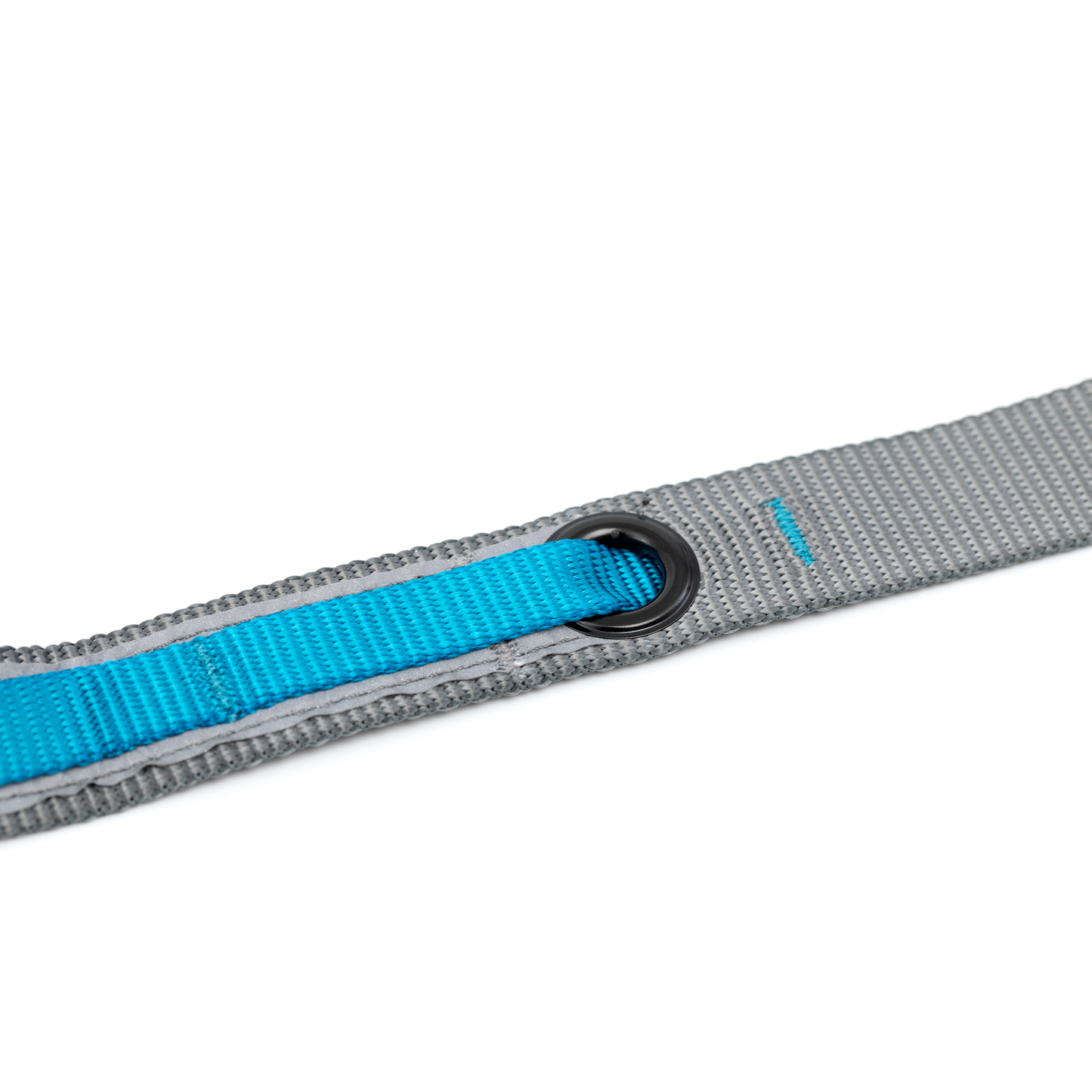 Quantum Leash 2.0