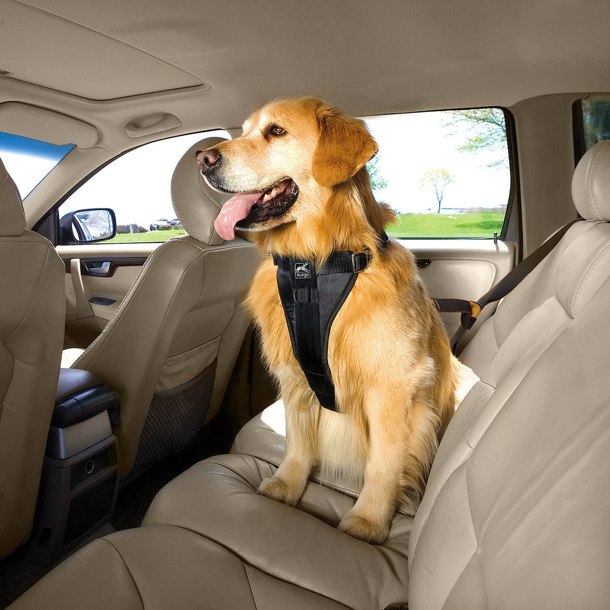 Enhanced Strength Tru-Fit Dog Car Harness