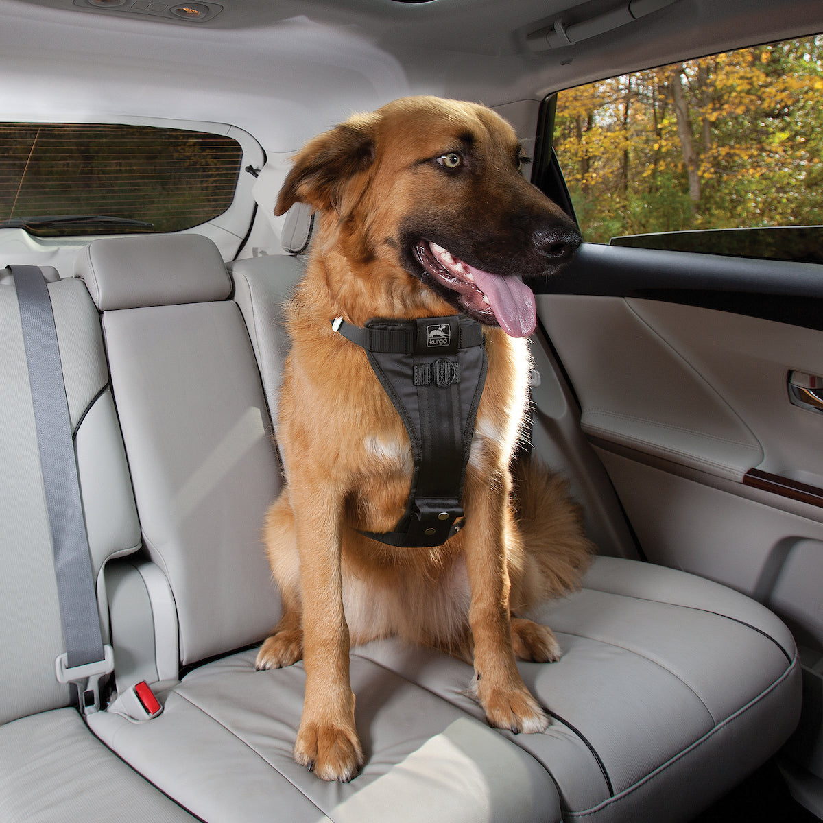 Enhanced Strength Tru-Fit Dog Car Harness