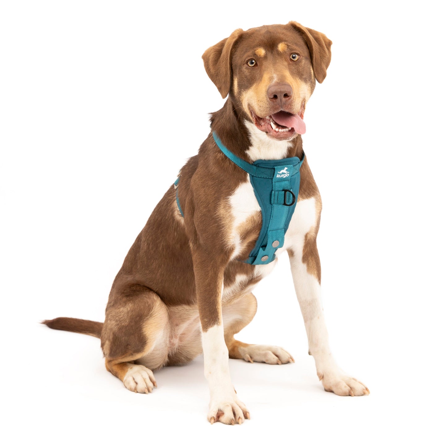 Enhanced Strength Tru-Fit Dog Car Harness