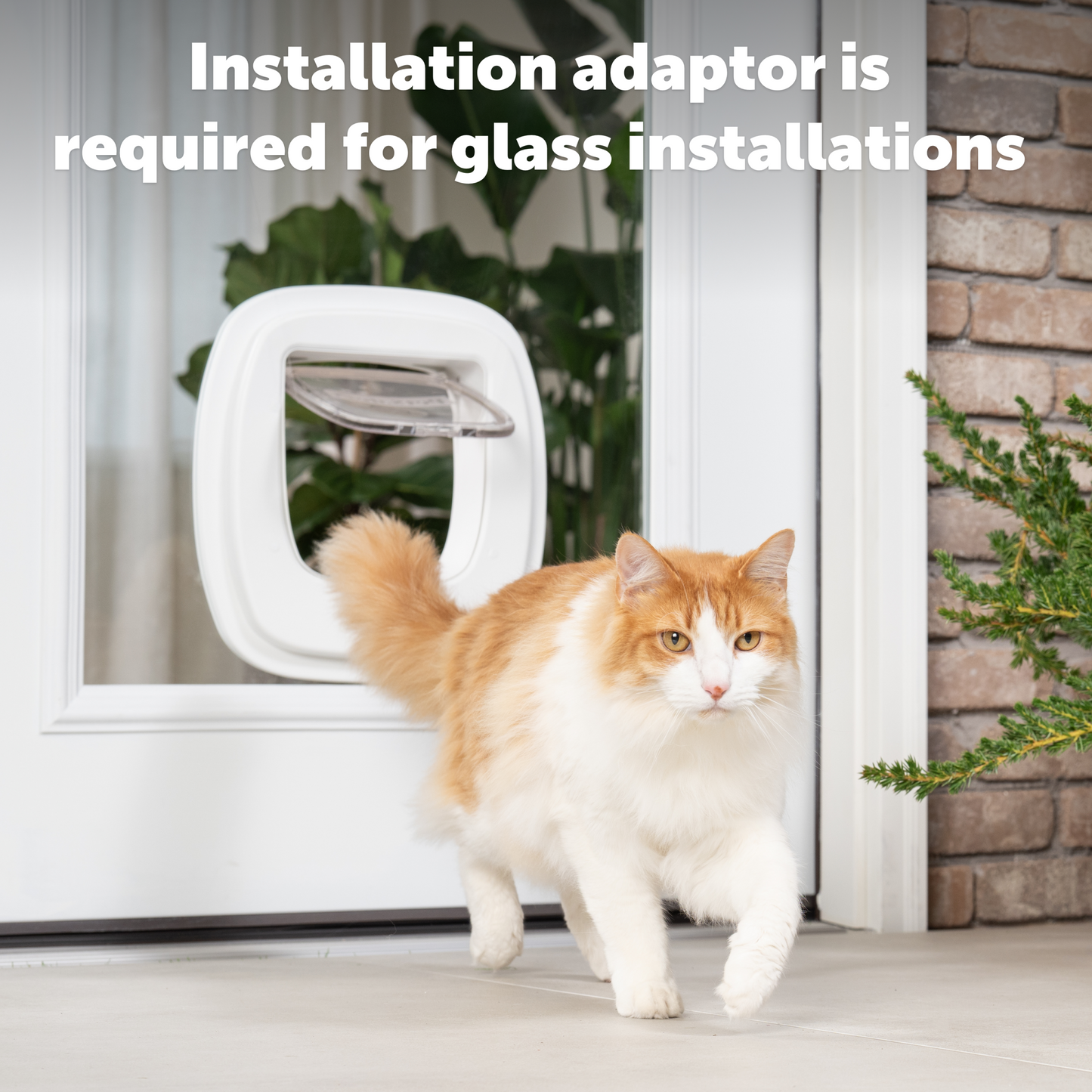 Big Cat Door Glass Installation Adaptor