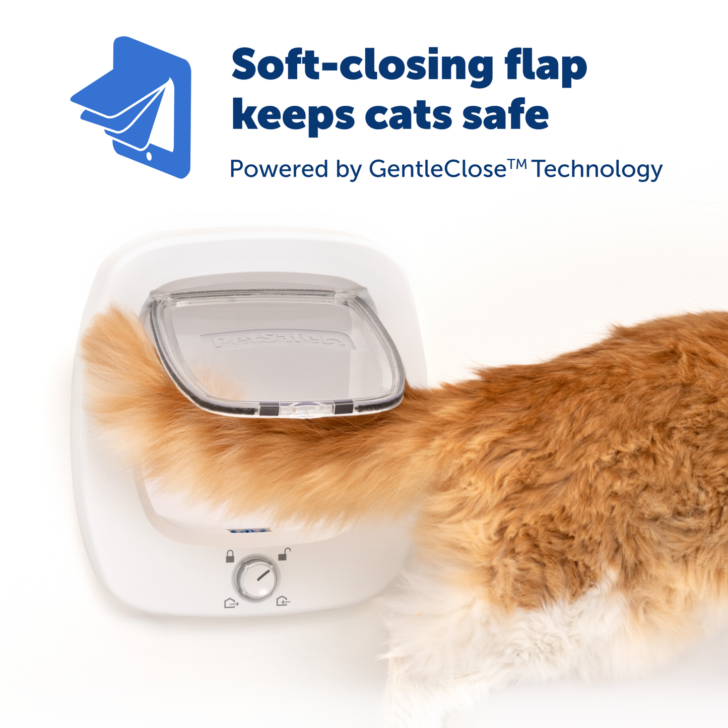 Big Cat Door Glass Installation Adaptor