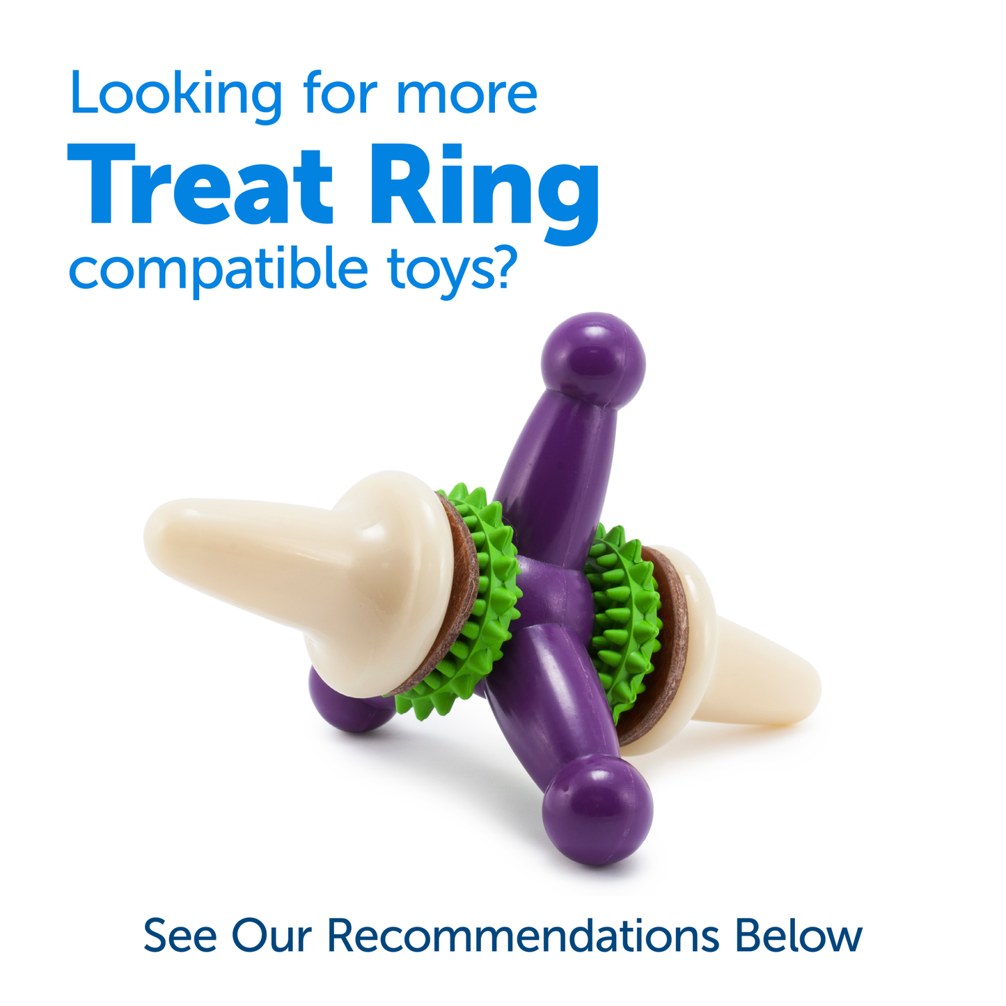 Busy Buddy® Dog Treat Ring Variety Pack, 60 Count, Medium