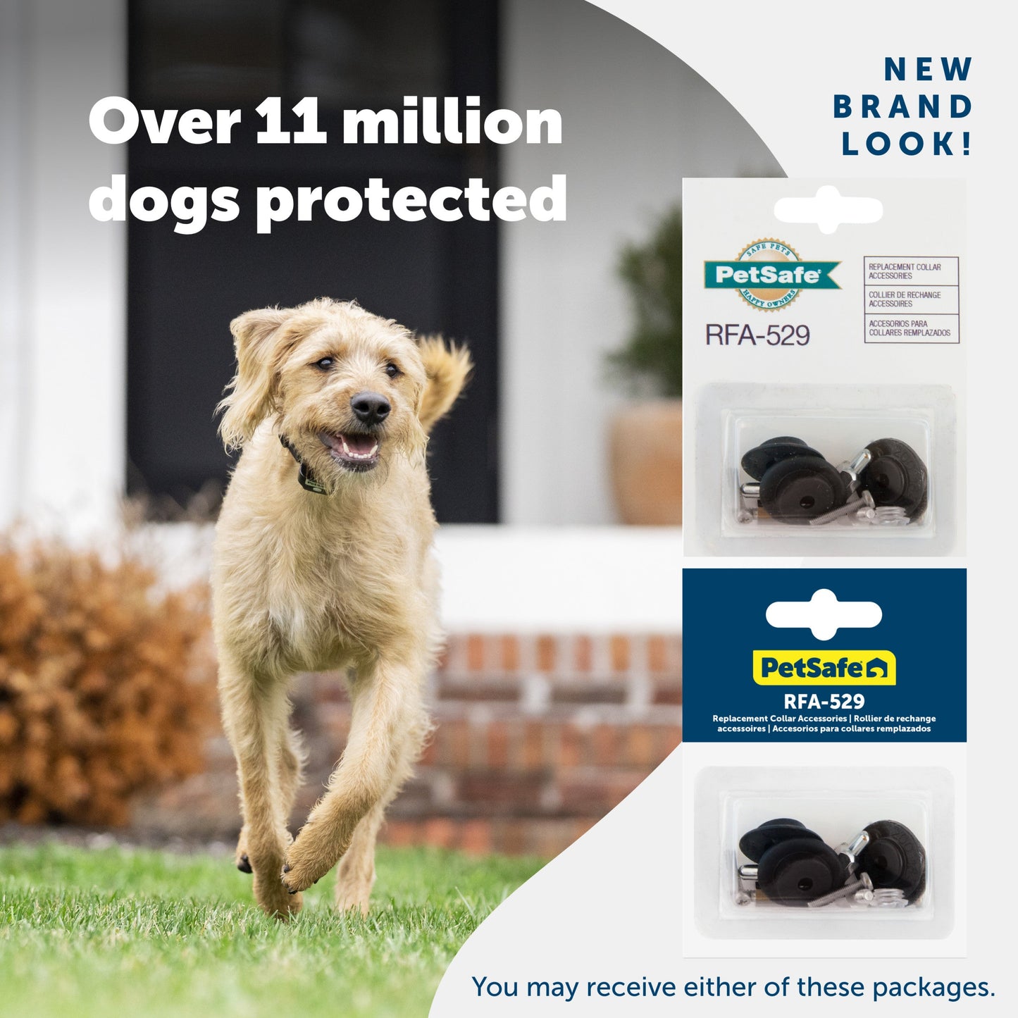 A happy dog enjoying their yard and 2 packaging options you may receive PetSafe has a new brand look Over 11 million dogs protected
