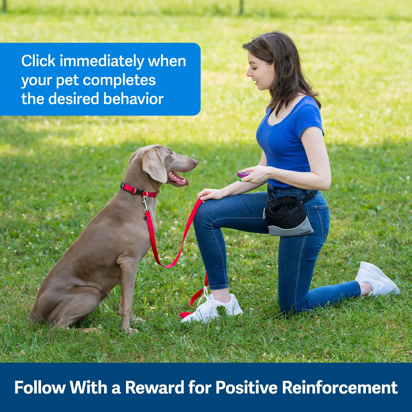 Clik-R™ Training Tool