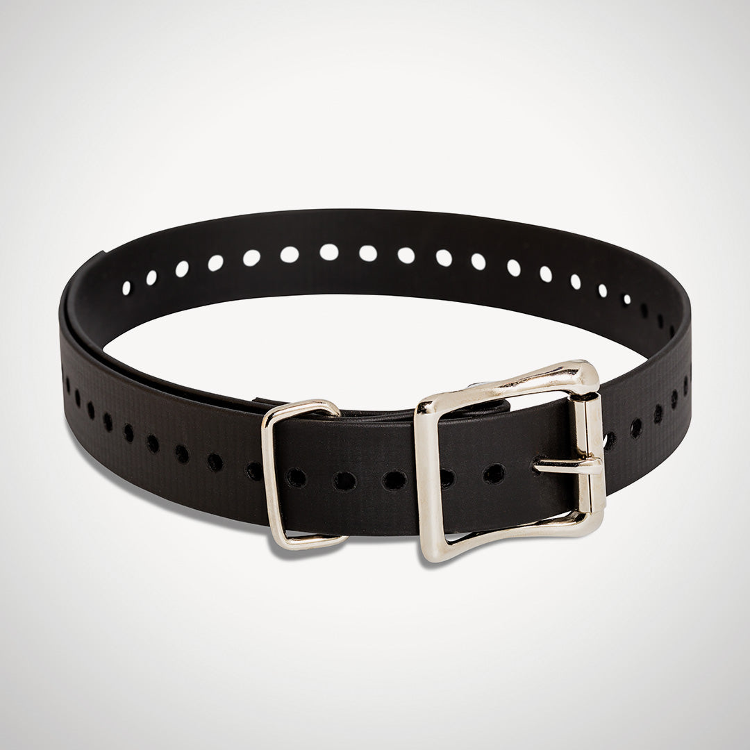 Replacement 1 inch Collar Straps