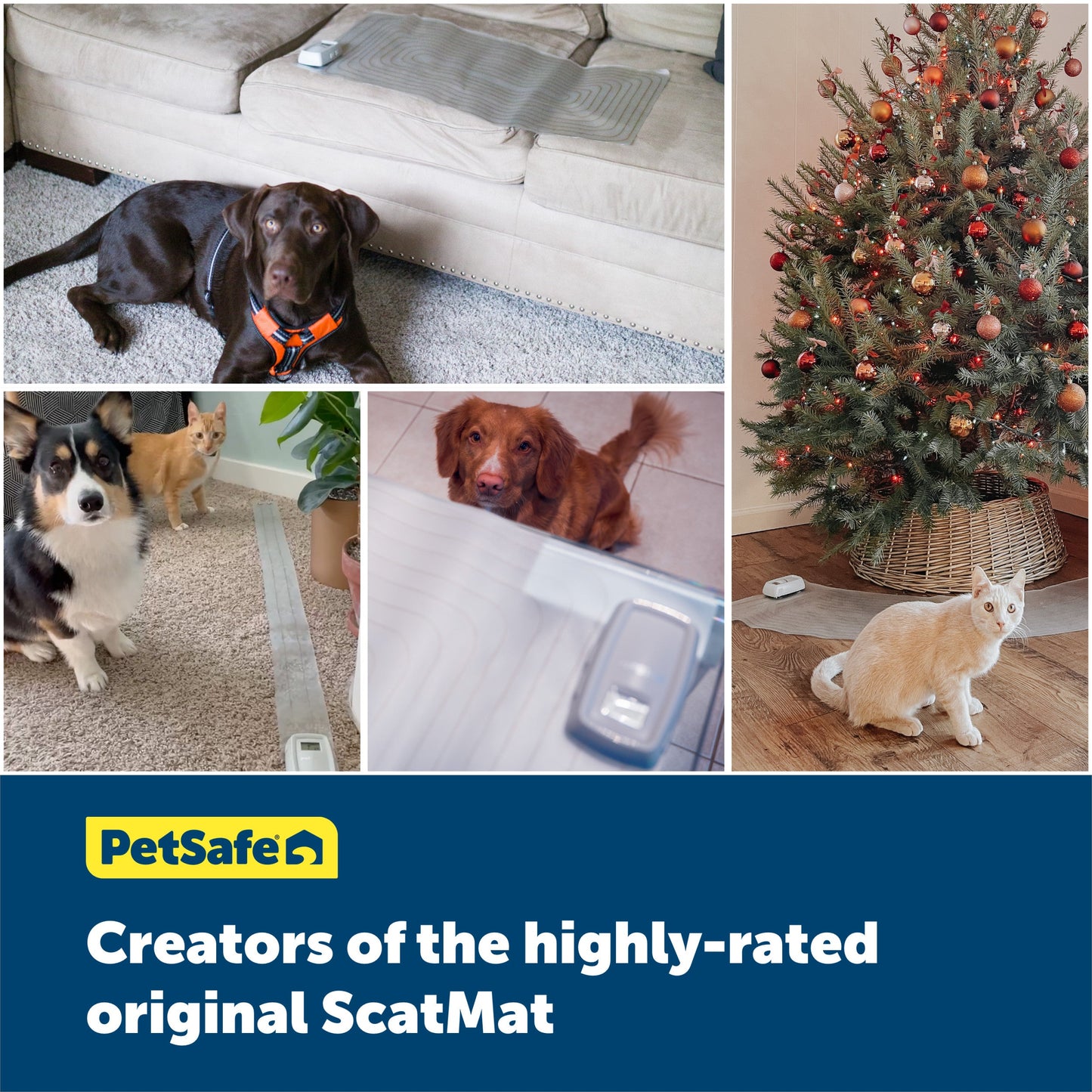 collage of customers pets with the scatmat
