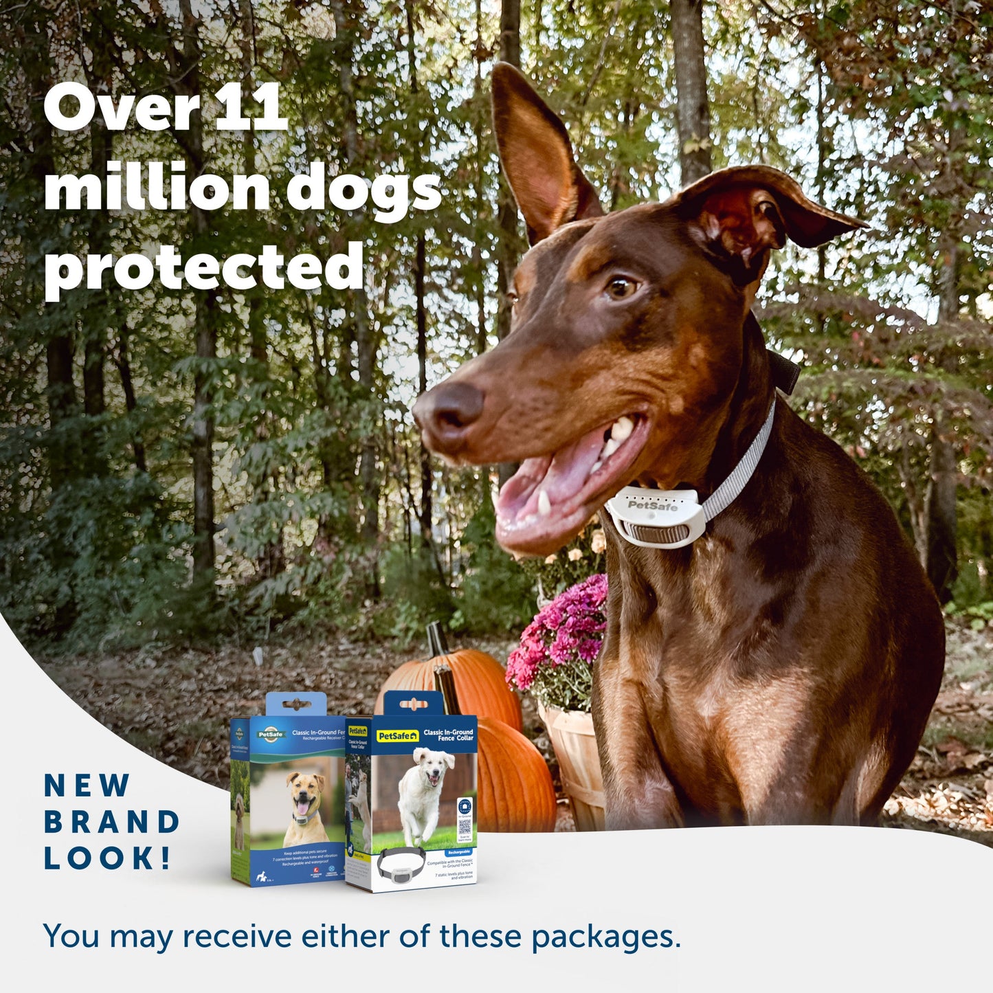 A happy dog enjoying their yard and 2 packaging options you may receive PetSafe has a new brand look Over 11 million dogs protected
