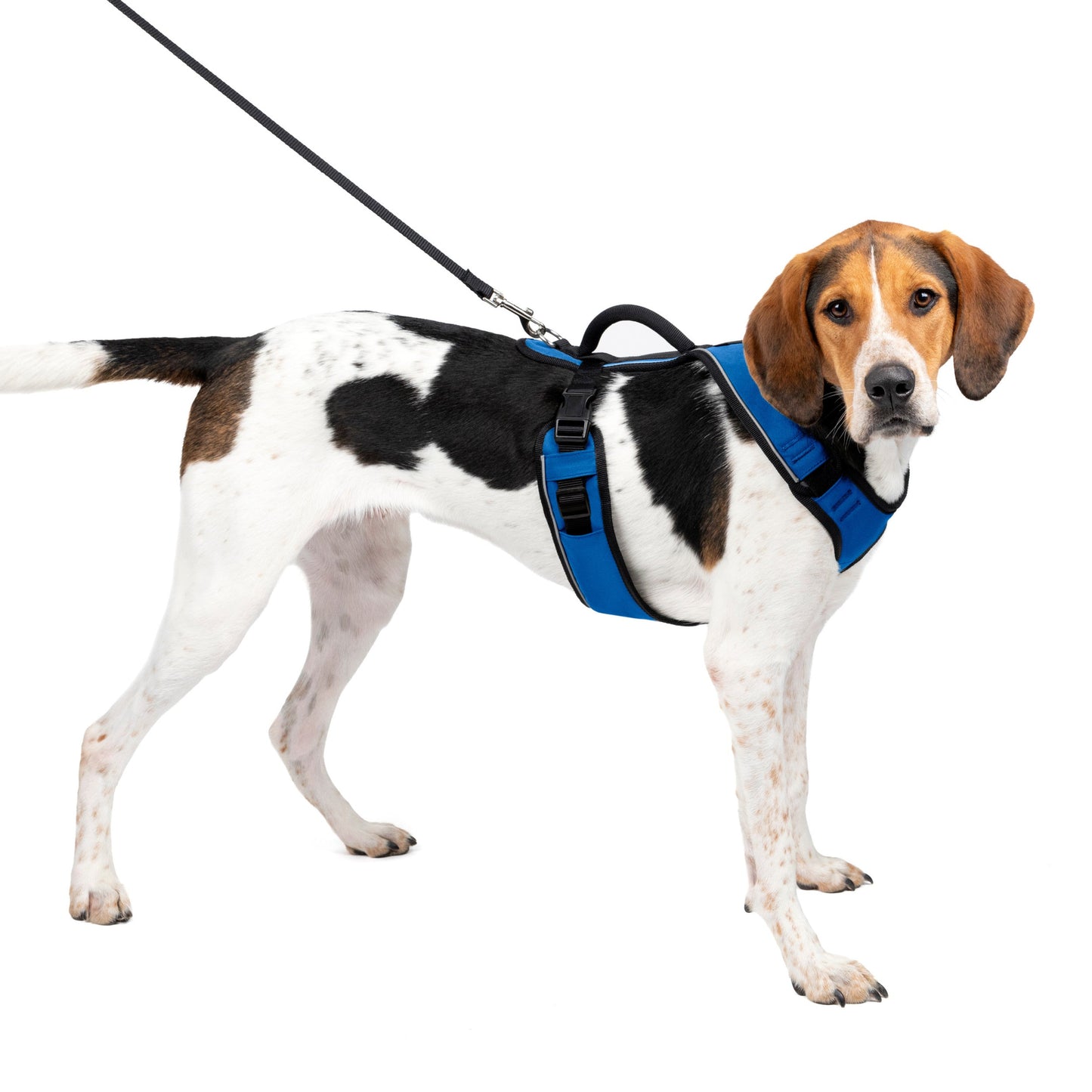 EasySport Harness