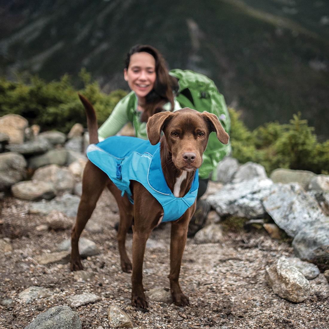 North Country Dog Coat