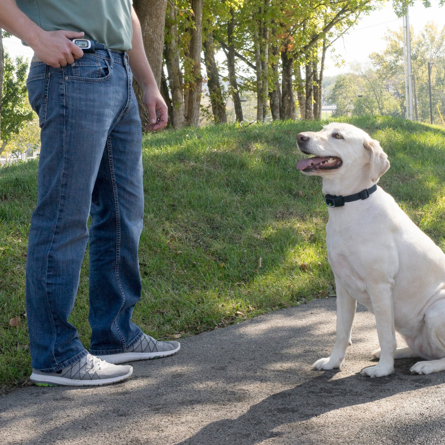 Remote Trainer Belt Clip