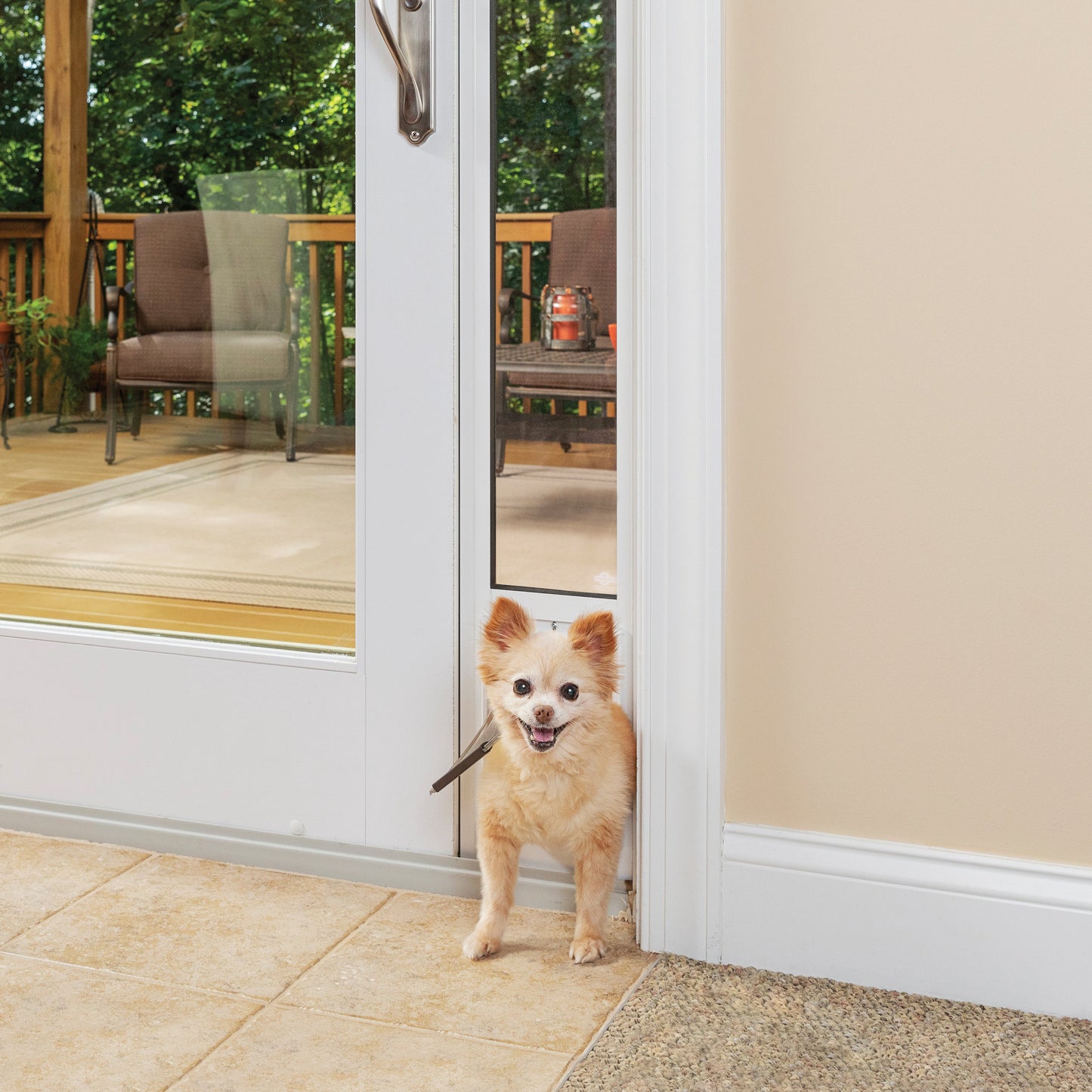 Pet Door for Sliding Glass Door, 1 piece - 81 in