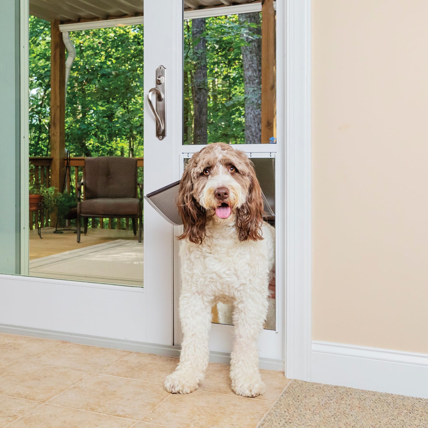 Sliding Glass Pet Door, 1 Piece - 81 in