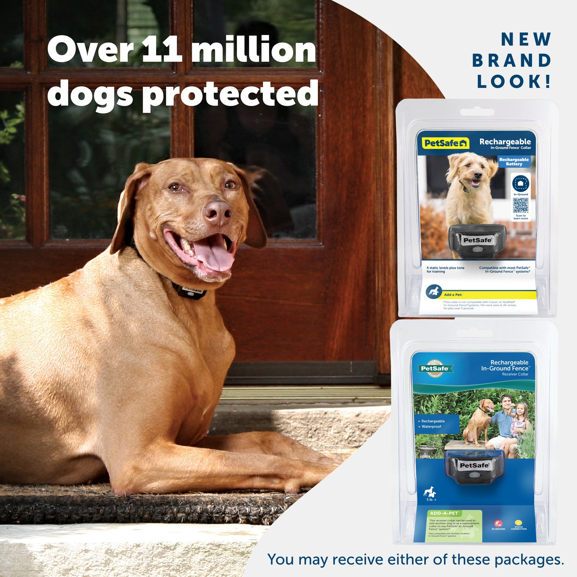 A happy dog enjoying their yard and 2 packaging options you may receive PetSafe has a new brand look Over 11 million dogs protected