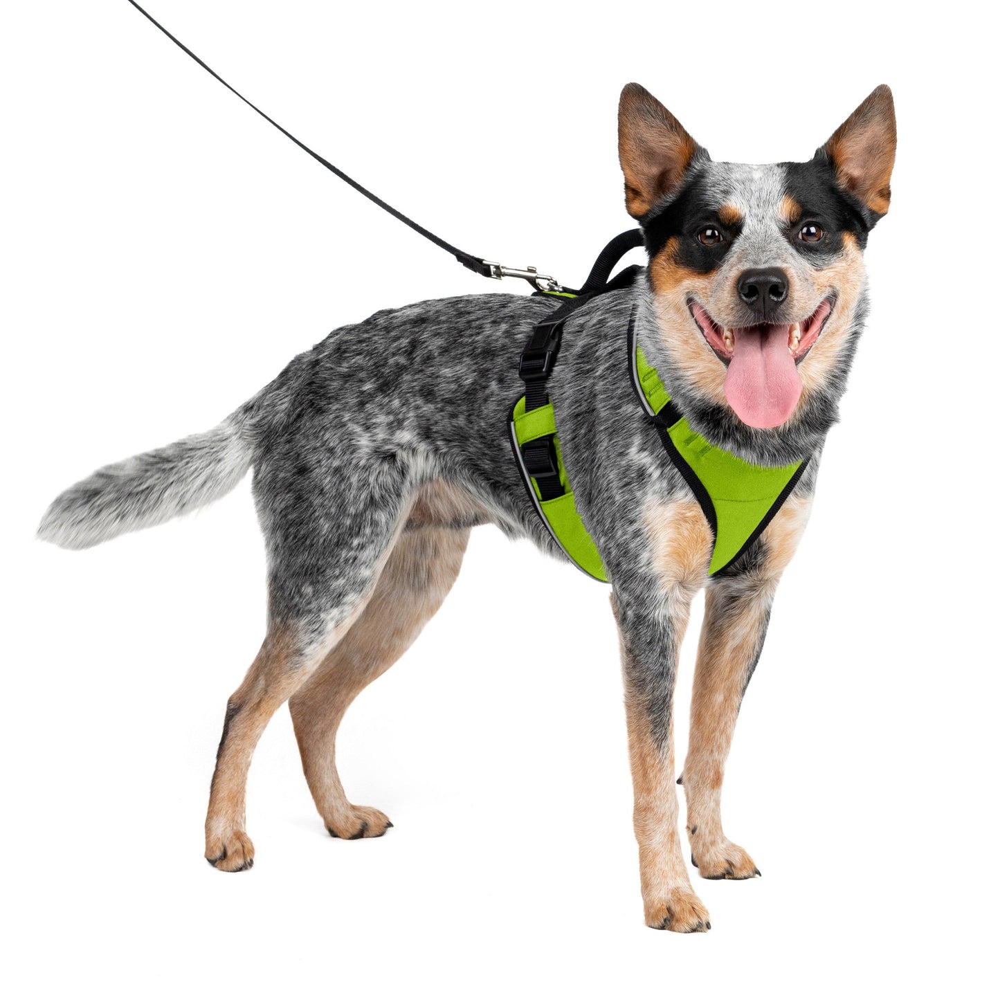 EasySport Harness