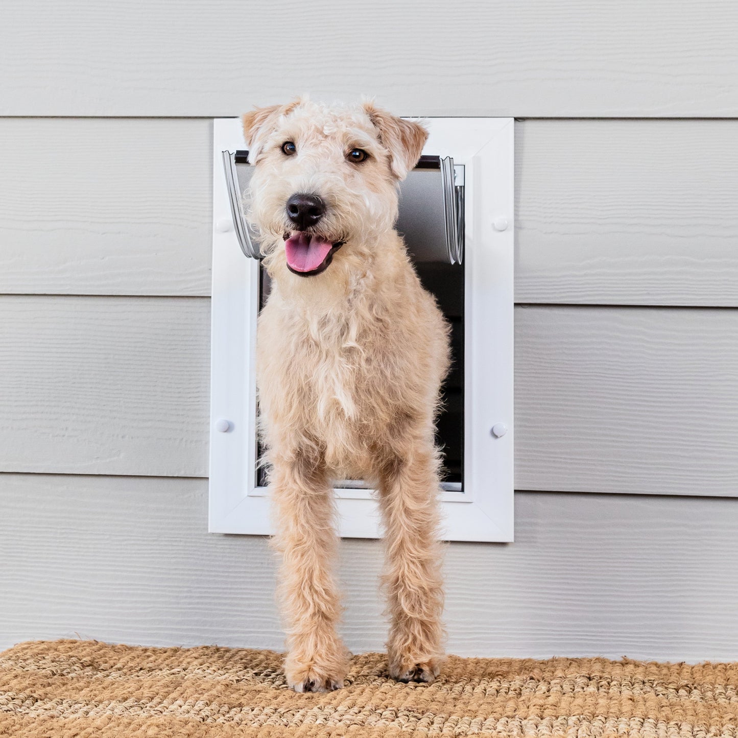 Wall Entry Pet Door™