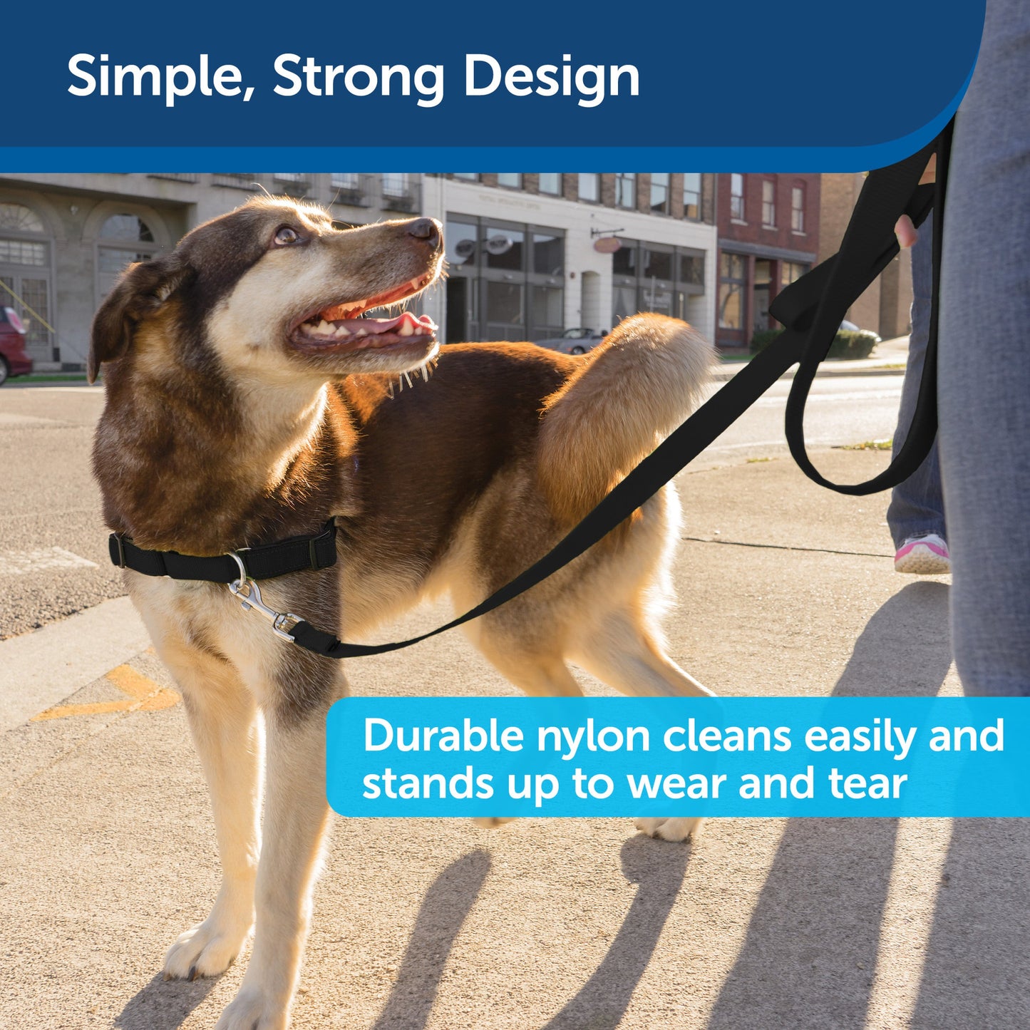 Nylon Leash