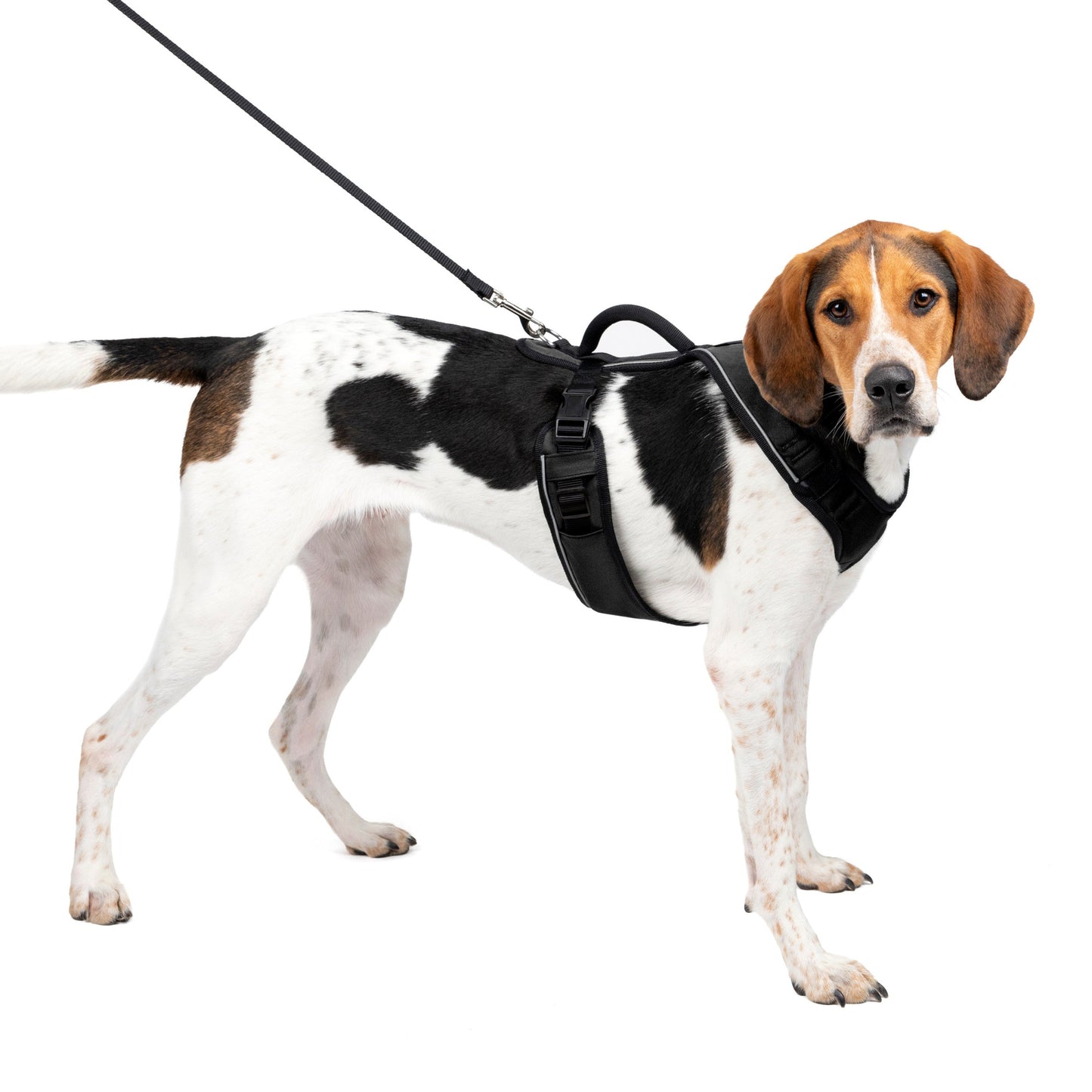 EasySport Harness