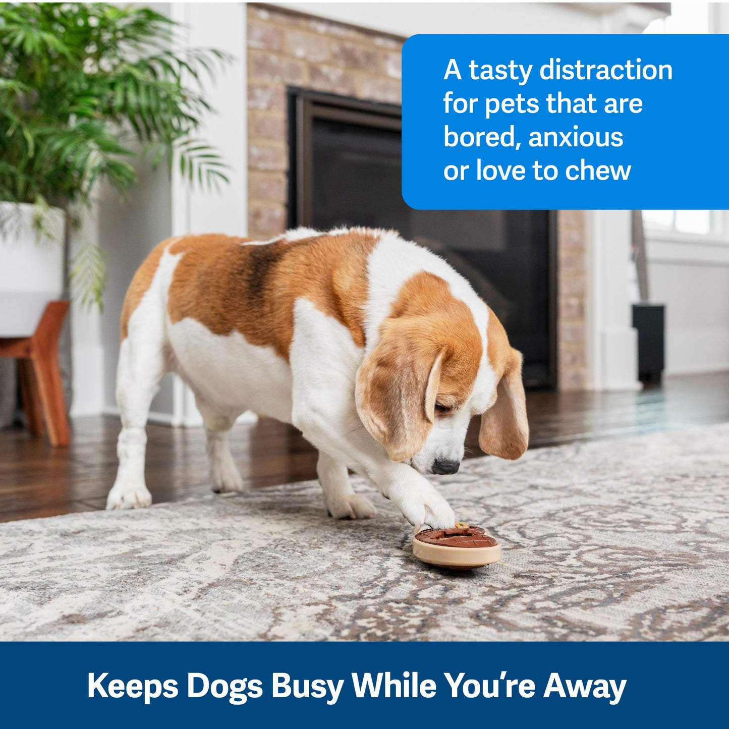 Busy Buddy® Slab o’ Sirloin