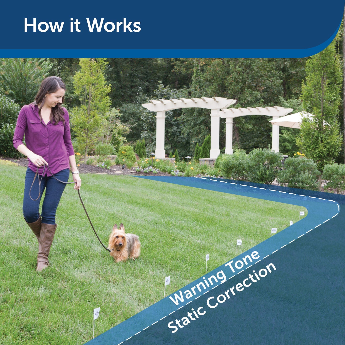 Deluxe Little Dog In-Ground Fence™ Receiver Collar