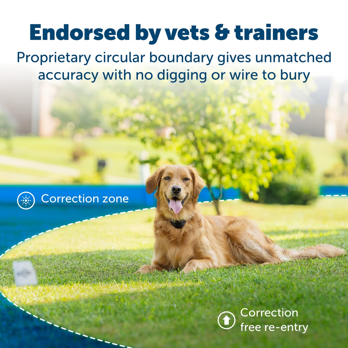 endorsed by vets and trainers proprietary circular boundary gives unmatched accuracy no digging or wire to bury dog enjoying their yard