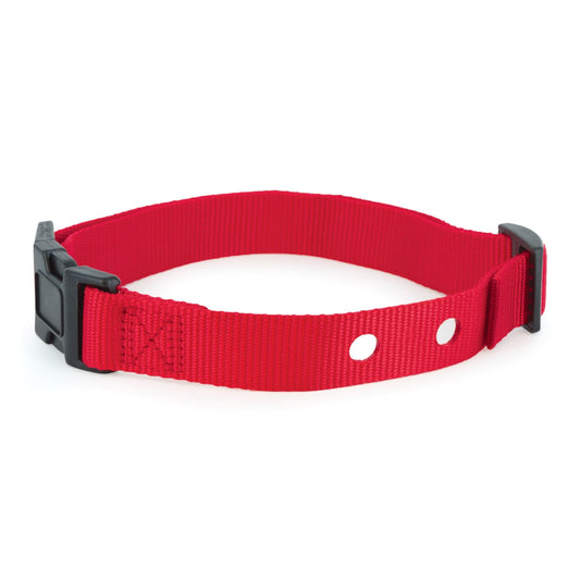 Replacement Collar Strap with 2 Holes