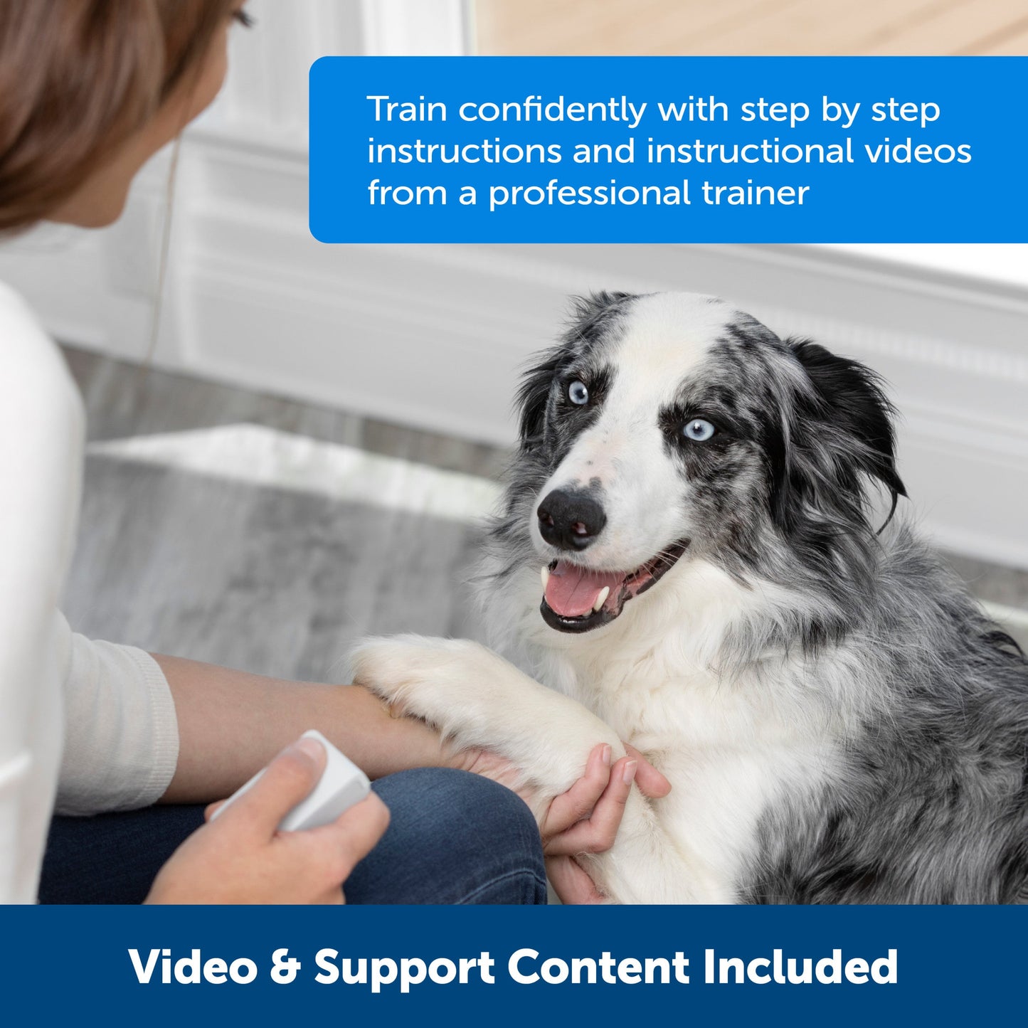 Teach & Treat Remote Reward Trainer
