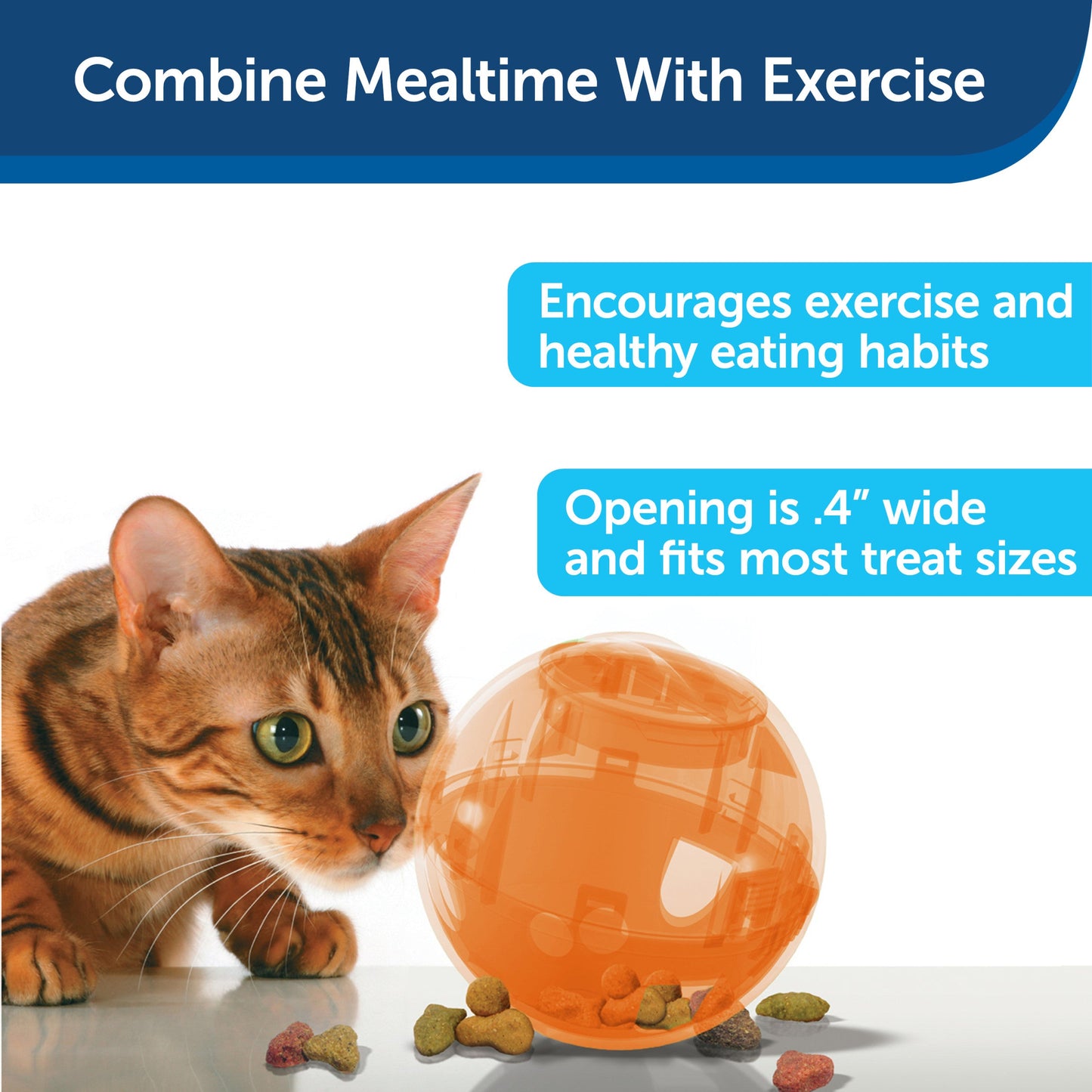 SlimCat™ Interactive Feeder