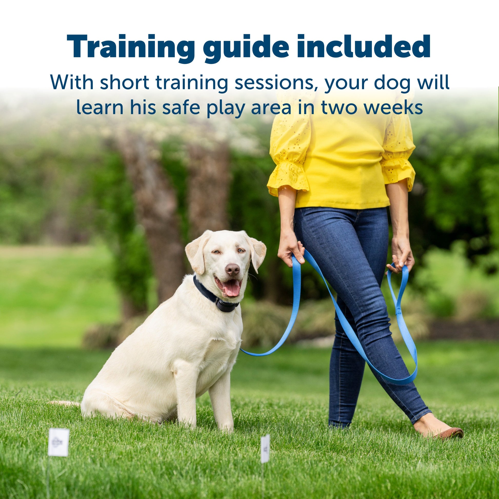 Pet parent with their beloved dog Training guide included with the short training sessions your dog will learn his safe play area