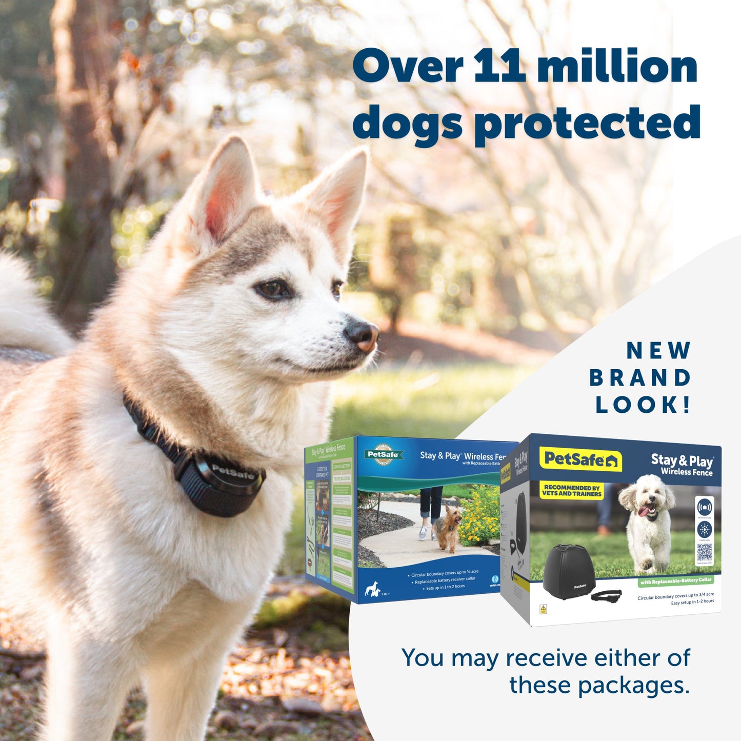 A happy dog enjoying their yard and 2 packaging options you may receive PetSafe has a new brand look Over 11 million dogs protected