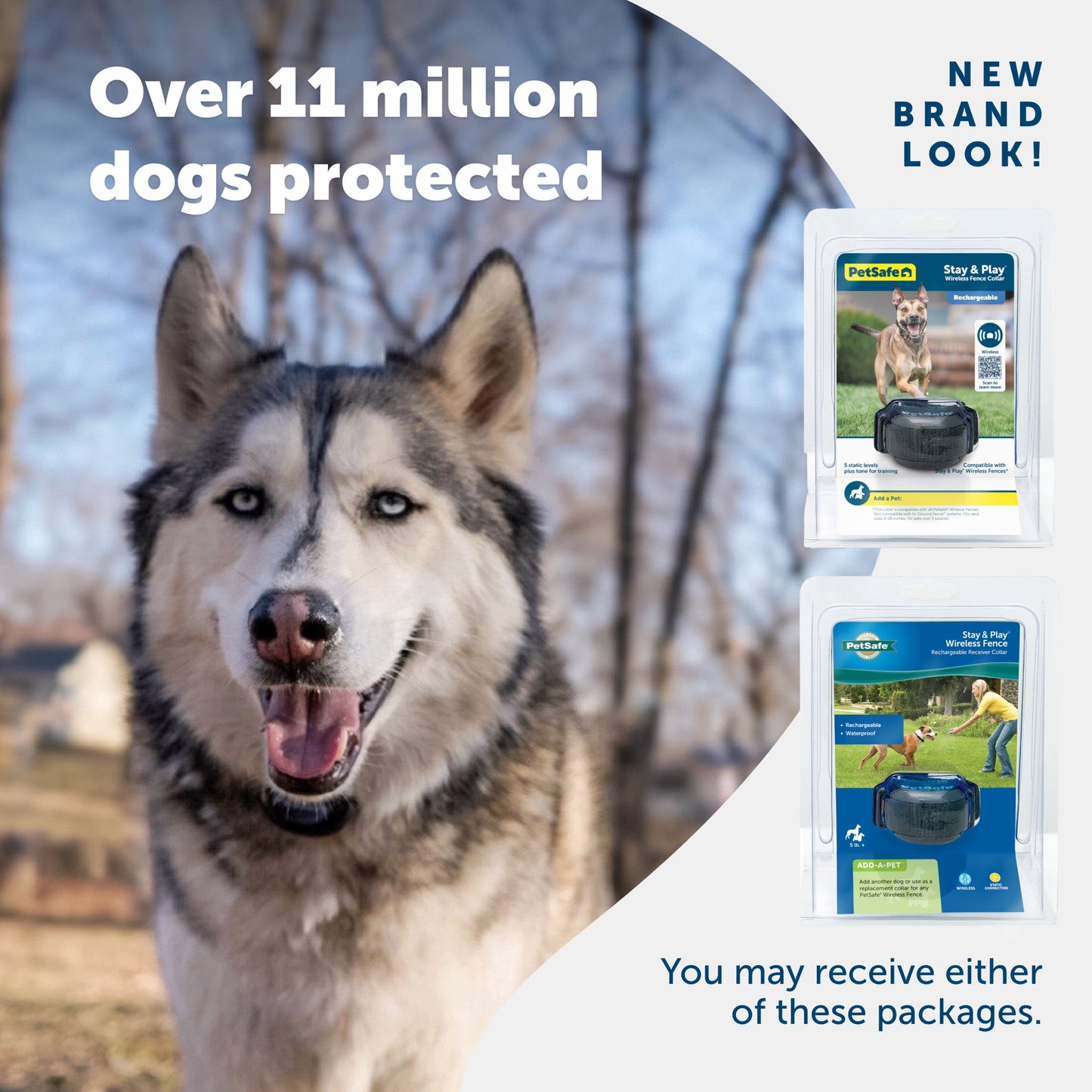 A happy dog enjoying their yard and 2 packaging options you may receive PetSafe has a new brand look Over 11 million dogs protected