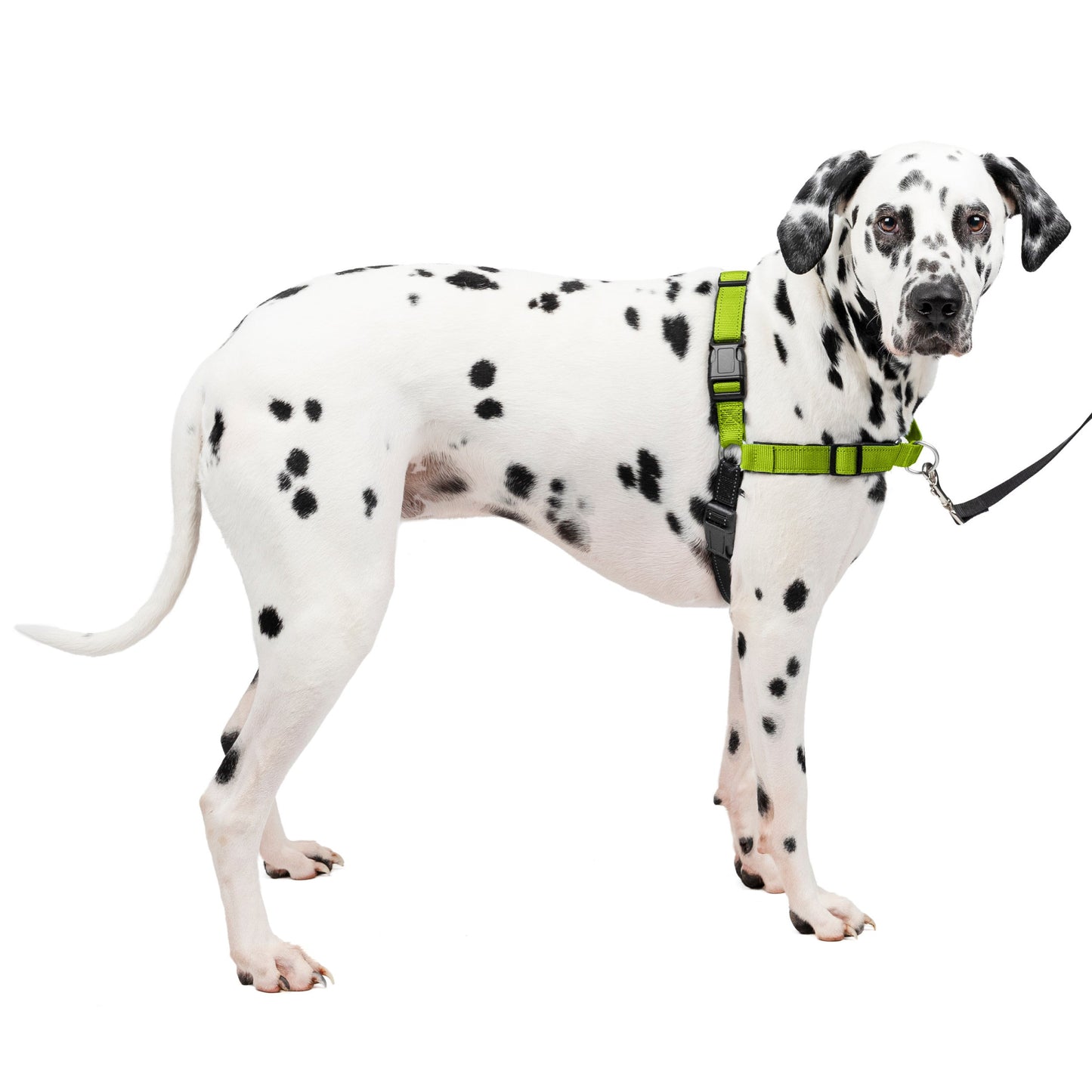 Deluxe Easy Walk® Harness
