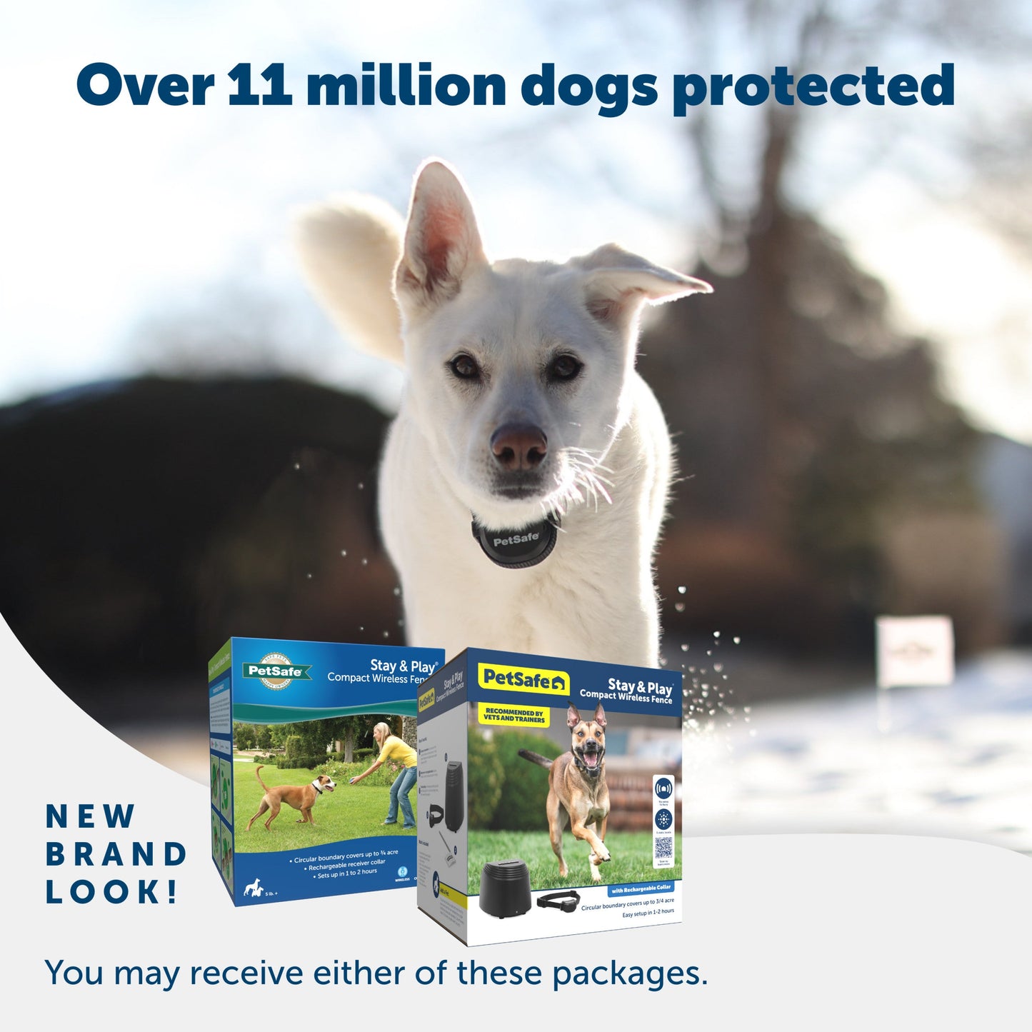 A happy dog enjoying their yard and 2 packaging options you may receive PetSafe has a new brand look Over 11 million dogs protected