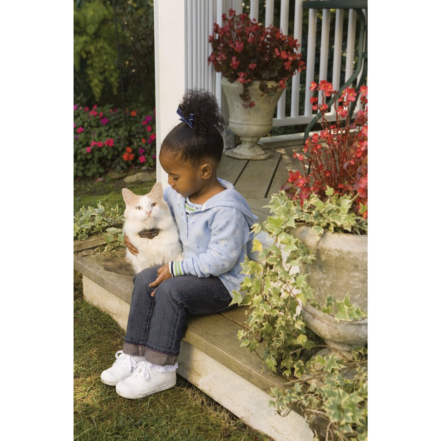 In-Ground Fence™ Receiver Collar for Cats