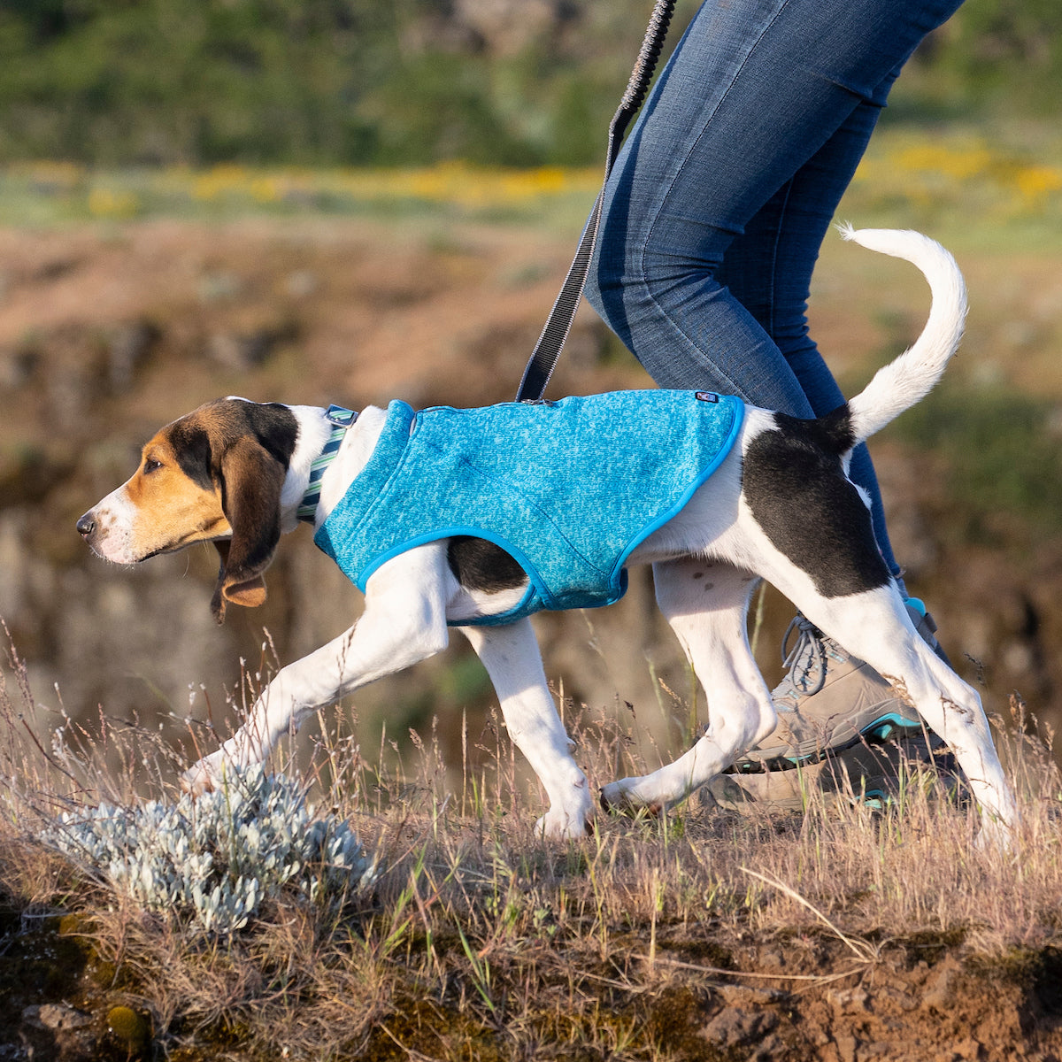 Core Sweater