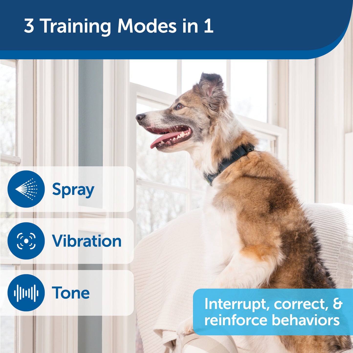Remote Spray Trainer Add-A-Dog® Collar