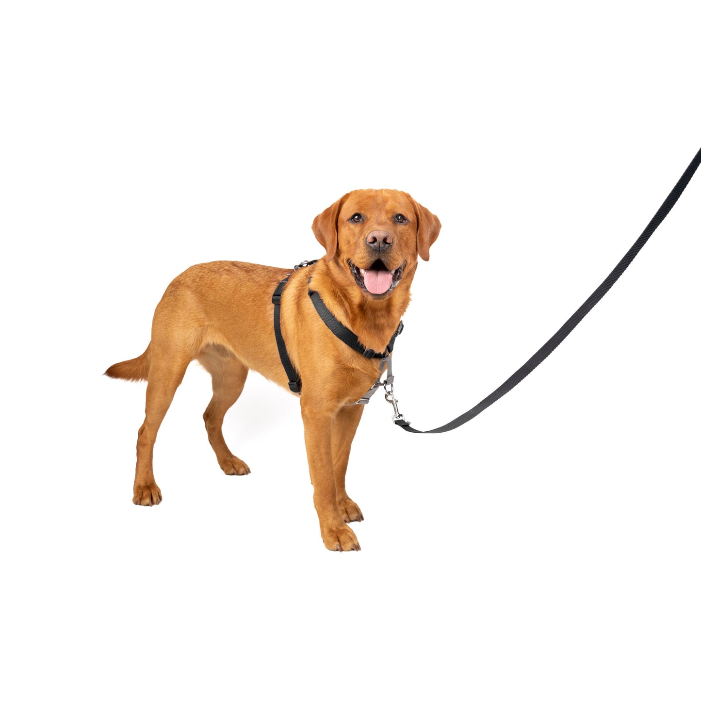 3 in 1 Harness