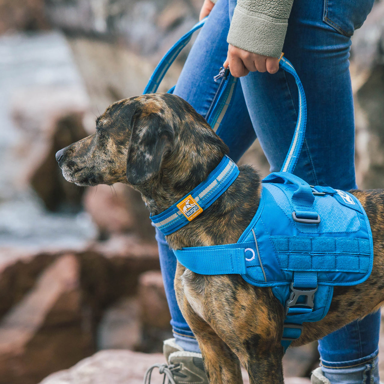 RSG Dog Collar