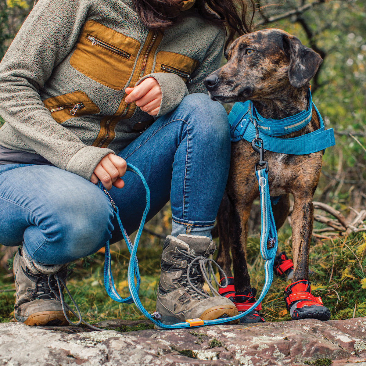 RSG Dog Stub Leash