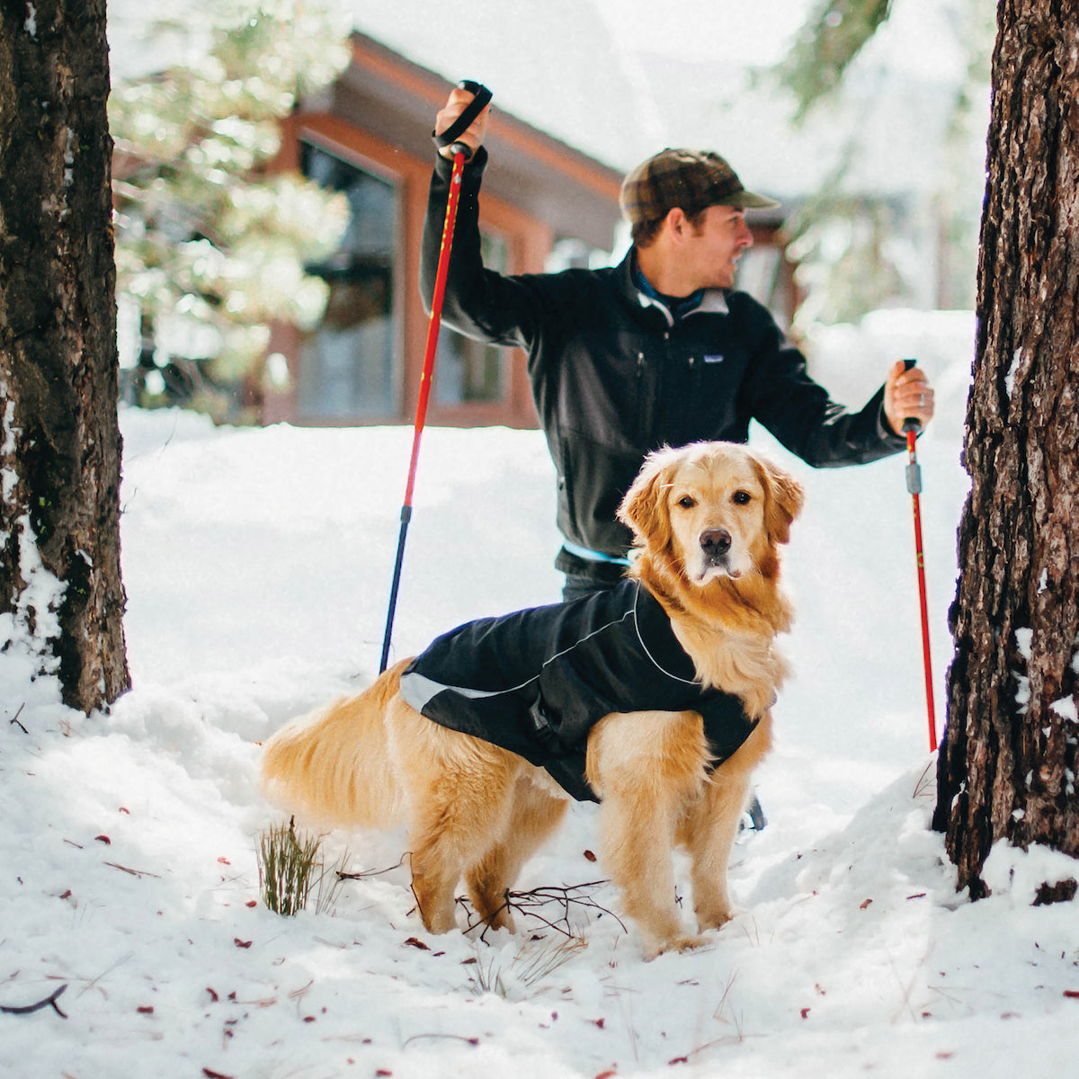 North Country Dog Coat